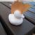 KakaoTalk_20230103_161723901.jpg