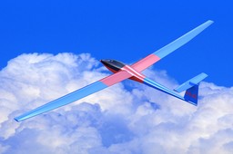 Glider DG-101