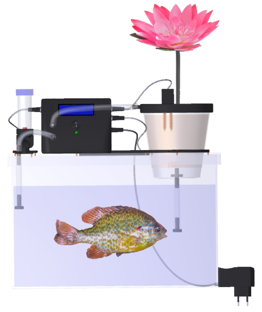 Mini Aquaponic System And Fish Feeder 3d Cad Model Library Grabcad