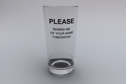 The glass.