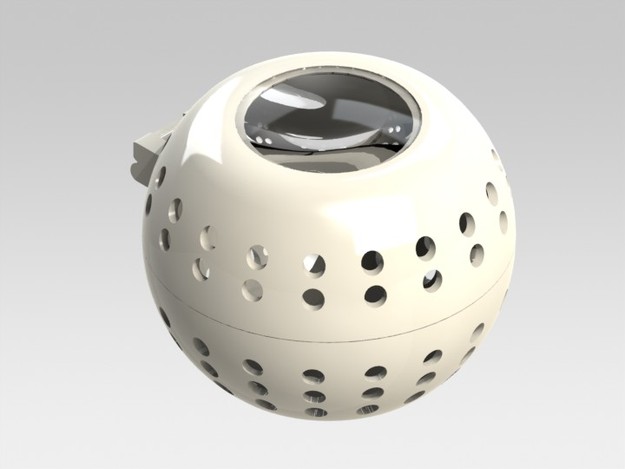 Bee Magnifier