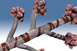 Bronchiole.ics