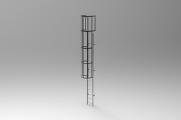 Vertical ladder 