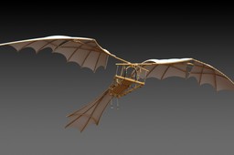 Da Vinci Flying Machine