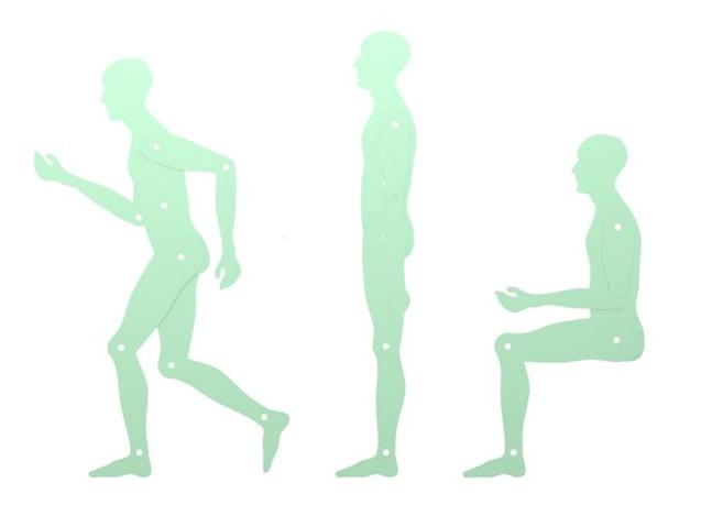 Human template