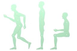 Human template