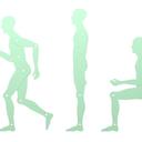 Human template