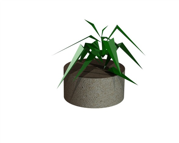 houseplant