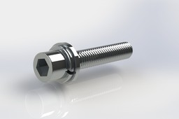 Primary Allen Bolt