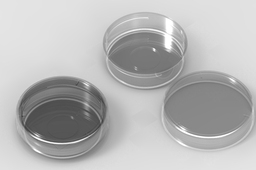Petri dish 35mm D with glass slide