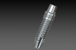 Dental implant and abutment
