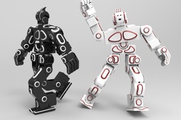  RoboSavvy Humanoid Robot V2