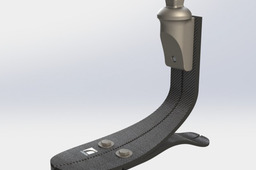 Prosthetic leg