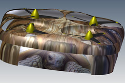Turtle Quadcopter