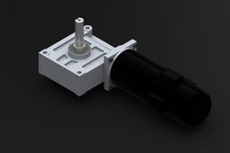 Worm gear motor
