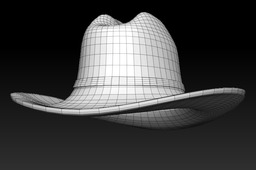 Cowboy Hat