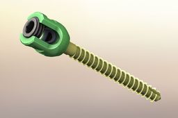 transpedicular screw
