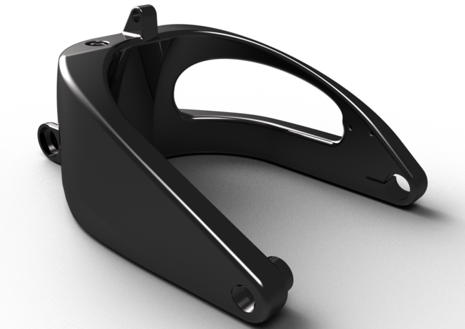 an amazing swingarm 