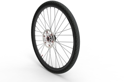 28 inch bike wheel