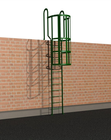 Cat Ladder with Safety Hoops