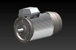 Electric Motor
