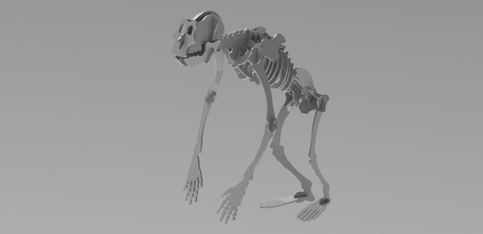 Woodcraft APE Skeleton 