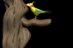 Savanna Bird