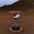 Tiny