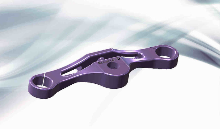 Triple Clamp