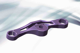 Triple Clamp