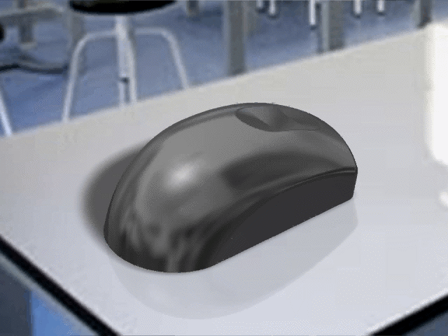 mouse