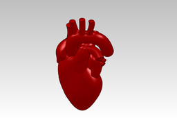 Human Heart