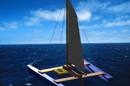 RC Catamaran