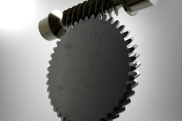 Worm gear