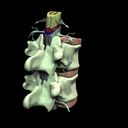 Vertebrae.zip