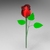 Tiny