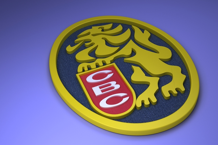 Leones del Caracas