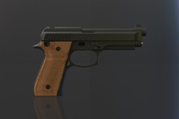 PT 101/ Beretta 96