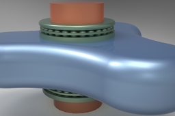 Lobe-Pump Lobe