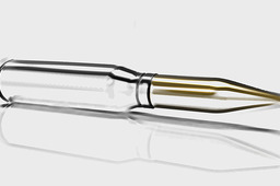 Bullet