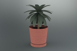 Potted Plant
