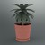Potted Plant