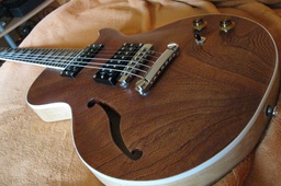 Les Paul Custom Project
