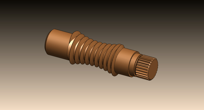 Worm Gear