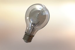 Light Bulb