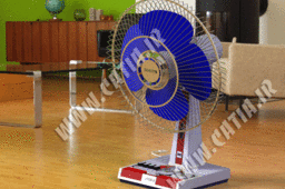 Fan