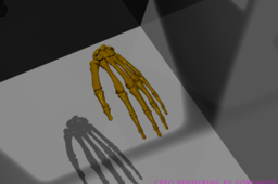hand