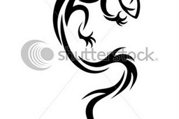 Lizard