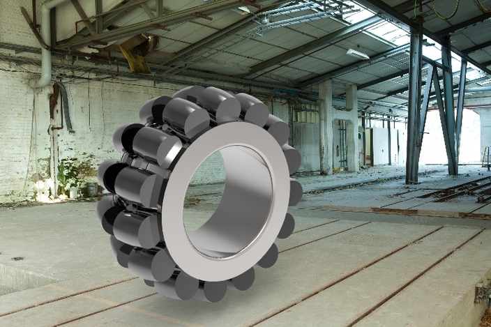Double row spherical roller