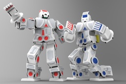 RoboSavvy Humanoid Robot